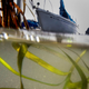 Part of Dirty John’s story takes place on Balboa Island, California. Pictured here: Eelgrass near a private dock on Sapphire Avenue. (Photo: Allen J. Schaben/Los Angeles Time/Getty Images)